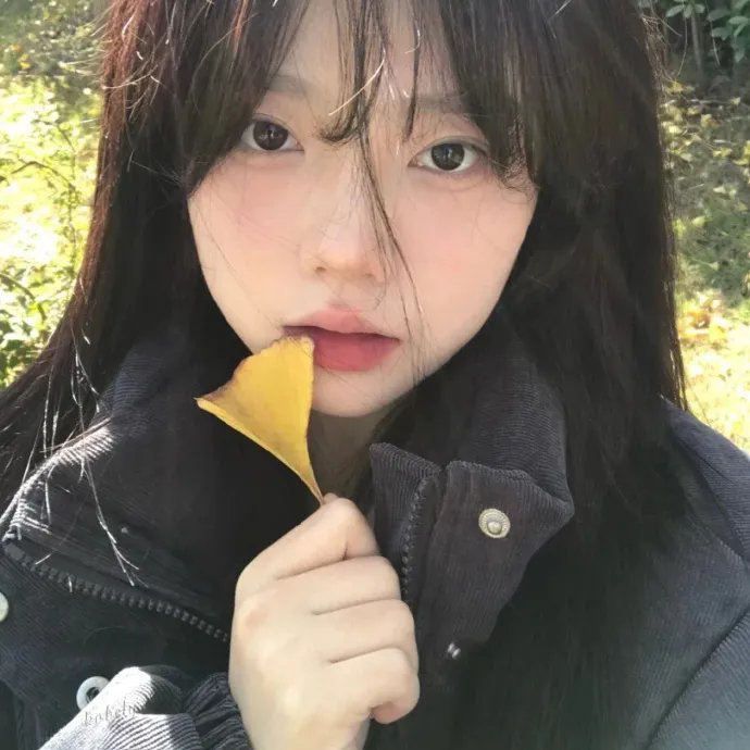 痴心儿女 海报